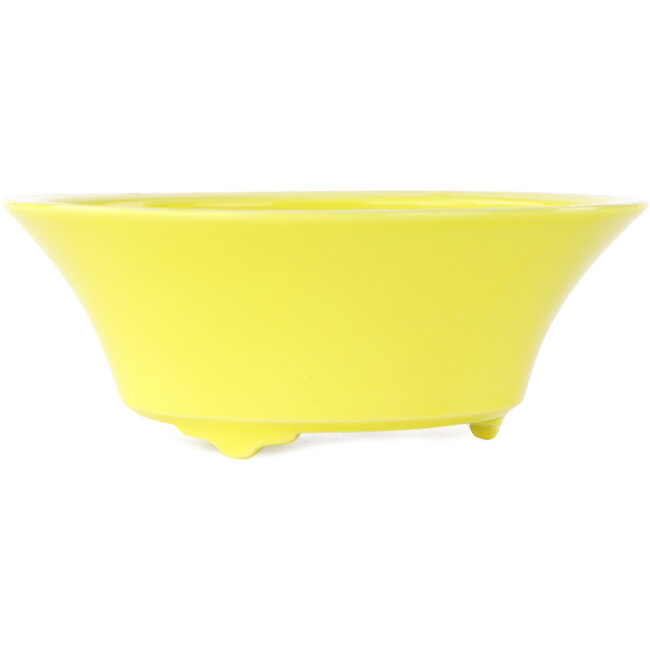 Pot à bonsaï rond jaune de Seifu - 145 x 145 x 55 mm