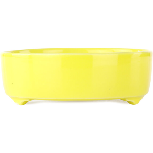 Pot à bonsaï rond jaune de Seifu - 150 x 150 x 50 mm