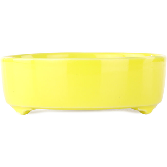 Round yellow bonsai pot by Seifu - 150 x 150 x 50 mm