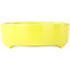 Pot à bonsaï rond jaune de Seifu - 150 x 150 x 50 mm