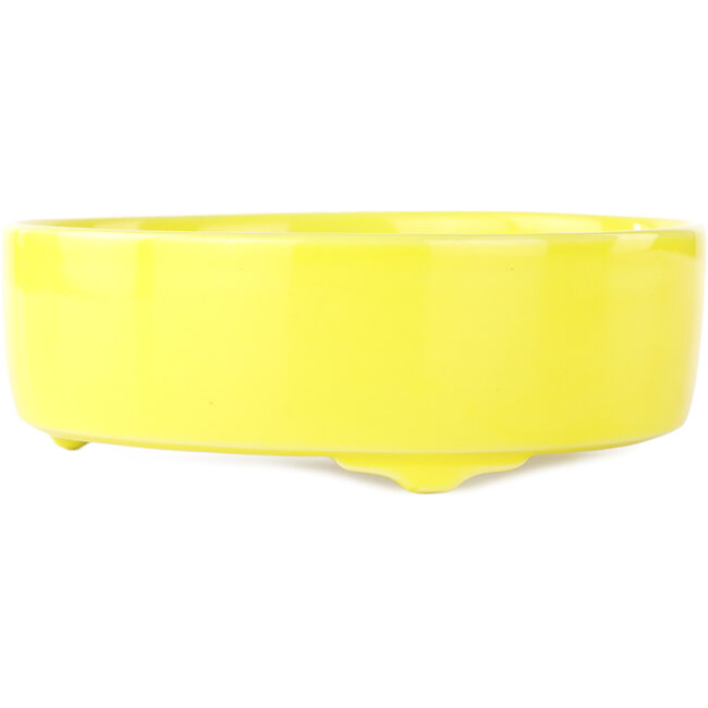 Ronde gele bonsai pot van Seifu - 150 x 150 x 50 mm