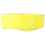 Pot à bonsaï rond jaune de Seifu - 150 x 150 x 50 mm