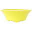 Vaso bonsai rotondo giallo di Seifu - 145 x 145 x 55 mm