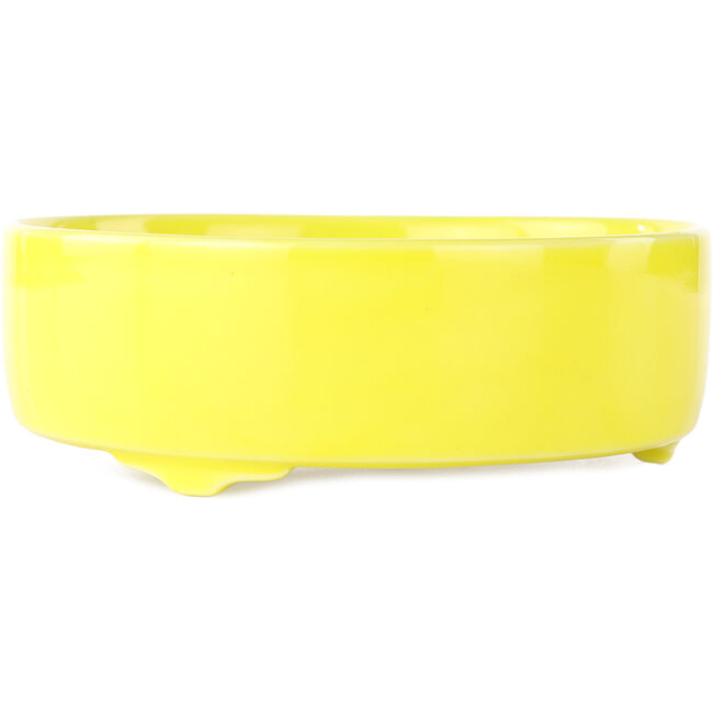 Ronde gele bonsai pot van Seifu - 150 x 150 x 50 mm