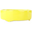Pot à bonsaï rond jaune de Seifu - 150 x 150 x 50 mm