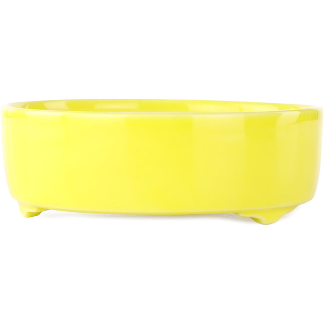 Vaso bonsai rotondo giallo di Seifu - 150 x 150 x 50 mm