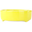Pot à bonsaï rond jaune de Seifu - 150 x 150 x 50 mm