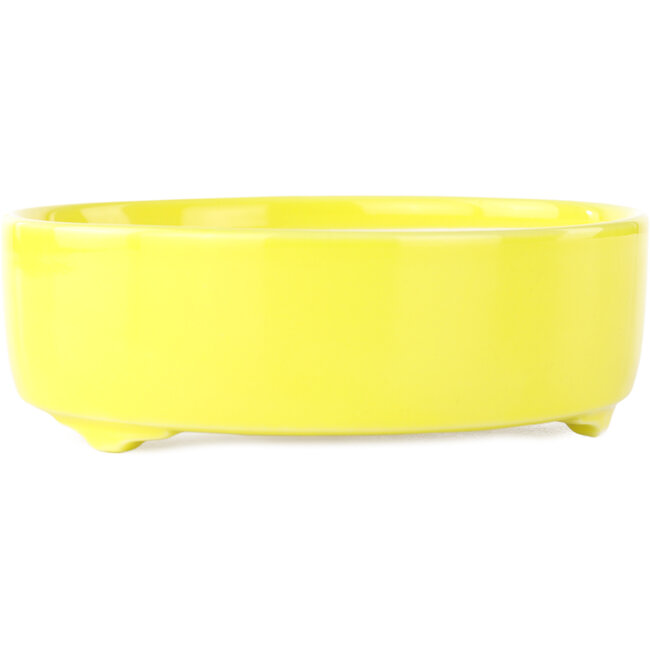 Round yellow bonsai pot by Seifu - 150 x 150 x 50 mm