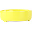 Pot à bonsaï rond jaune de Seifu - 150 x 150 x 50 mm