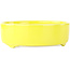 Round yellow bonsai pot by Seifu - 150 x 150 x 50 mm