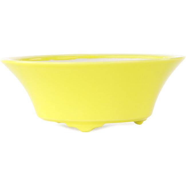 Pot à bonsaï rond jaune de Seifu - 145 x 145 x 55 mm