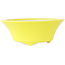 Vaso bonsai rotondo giallo di Seifu - 145 x 145 x 55 mm