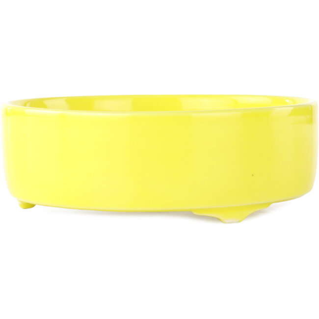 Ronde gele bonsai pot van Seifu - 150 x 150 x 50 mm