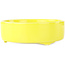 Pot à bonsaï rond jaune de Seifu - 150 x 150 x 50 mm