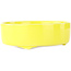 Pot à bonsaï rond jaune de Seifu - 150 x 150 x 50 mm