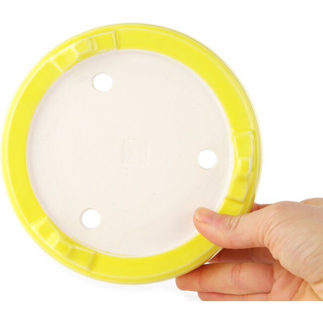 Maceta redonda amarilla para bonsái de Seifu - 150 x 150 x 50 mm