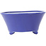 Pot à bonsaï rond bleu de Seifu - 145 x 145 x 70 mm