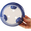 Vaso bonsai rotondo blu di Seifu - 145 x 145 x 70 mm