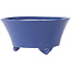Pot à bonsaï rond bleu de Seifu - 145 x 145 x 70 mm