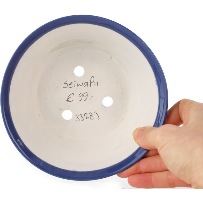 Maceta redonda azul para bonsái de Seifu - 145 x 145 x 70 mm