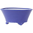 Round blue bonsai pot by Seifu - 145 x 145 x 70 mm