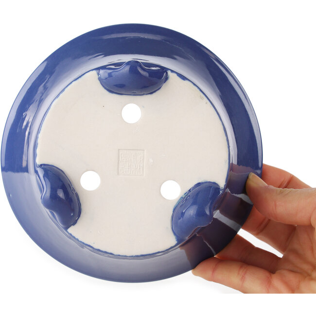 Maceta redonda azul para bonsái de Seifu - 145 x 145 x 70 mm