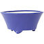 Round blue bonsai pot by Seifu - 145 x 145 x 70 mm