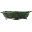 Mokko green bonsai pot by Seizan - 180 x 155 x 50 mm