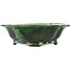 Mokko green bonsai pot by Seizan - 180 x 155 x 50 mm