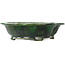 Mokko green bonsai pot by Seizan - 180 x 155 x 50 mm