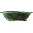 Mokko green bonsai pot by Seizan - 180 x 155 x 50 mm