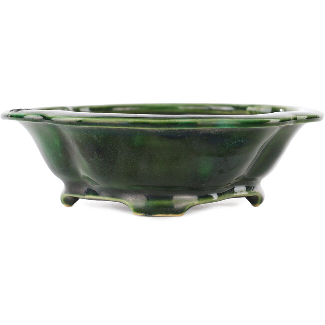 Mokko green bonsai pot by Seizan - 180 x 155 x 50 mm