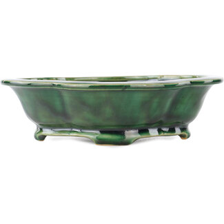 Seizan 180 mm mokko green bonsai pot by Seizan, Japan