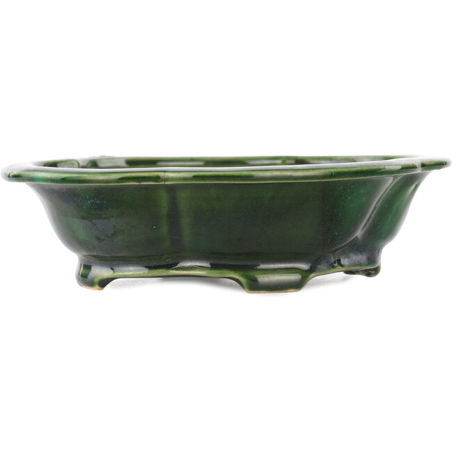 Pot à bonsaï vert Mokko de Seizan - 180 x 155 x 50 mm