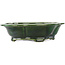 Mokko green bonsai pot by Seizan - 180 x 155 x 50 mm