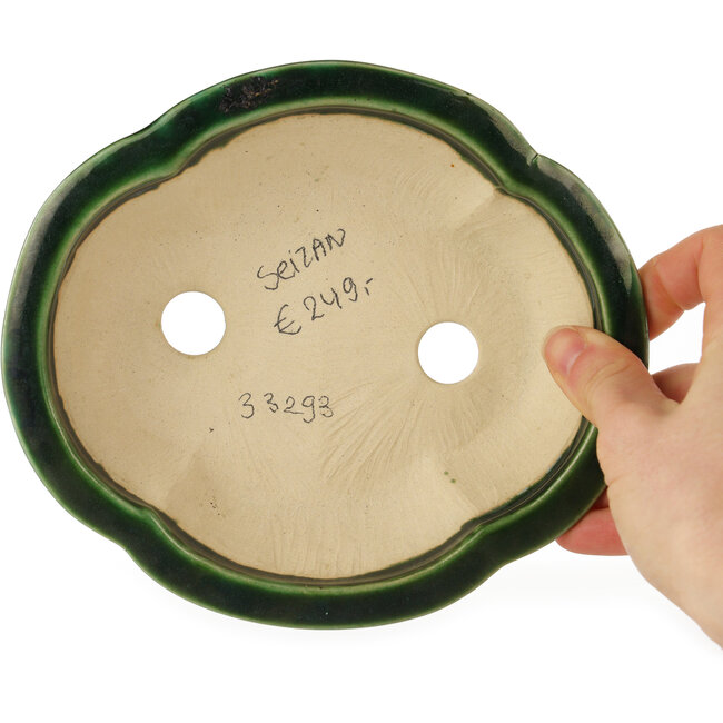 Maceta para bonsái verde Mokko de Seizan - 180 x 155 x 50 mm