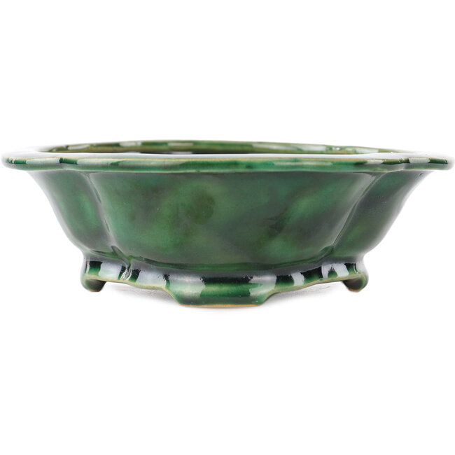 Pot à bonsaï vert Mokko de Seizan - 180 x 155 x 50 mm