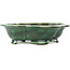 Mokko green bonsai pot by Seizan - 180 x 155 x 50 mm