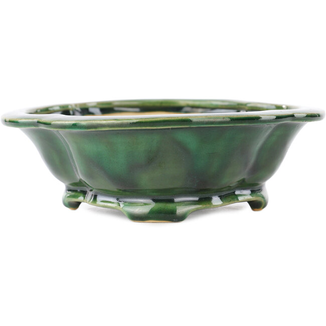 Mokko groene bonsai pot van Seizan - 180 x 155 x 50 mm