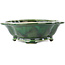 Mokko green bonsai pot by Seizan - 180 x 155 x 50 mm