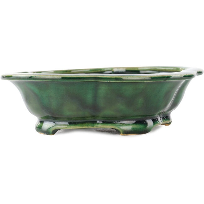 Vaso bonsai verde Mokko di Seizan - 180 x 155 x 50 mm