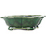 Pot à bonsaï vert Mokko de Seizan - 180 x 155 x 50 mm