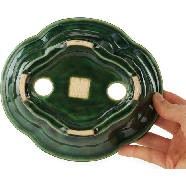 Mokko green bonsai pot by Seizan - 180 x 155 x 50 mm