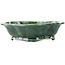 Mokko green bonsai pot by Seizan - 180 x 155 x 50 mm