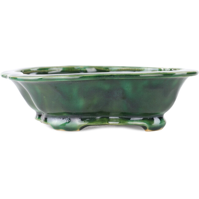 Vaso bonsai verde Mokko di Seizan - 180 x 155 x 50 mm