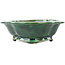 Mokko green bonsai pot by Seizan - 180 x 155 x 50 mm