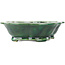 Mokko green bonsai pot by Seizan - 180 x 155 x 50 mm