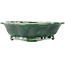Maceta para bonsái verde Mokko de Seizan - 180 x 155 x 50 mm