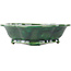 Mokko green bonsai pot by Seizan - 180 x 155 x 50 mm