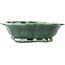 Mokko green bonsai pot by Seizan - 180 x 155 x 50 mm